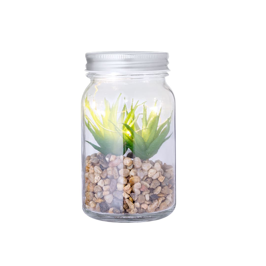 Planta Decorativa Kyala 2