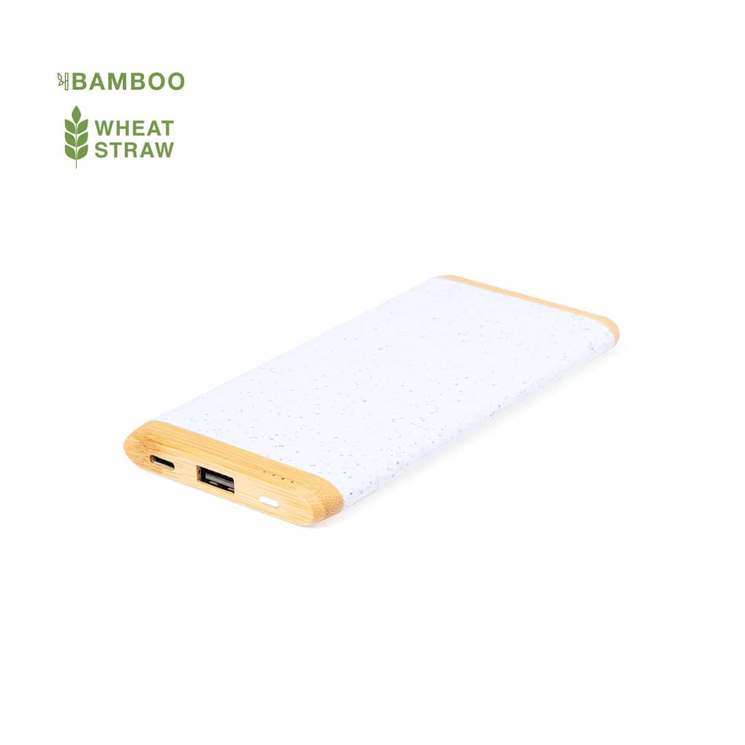Power Bank Coquin 2