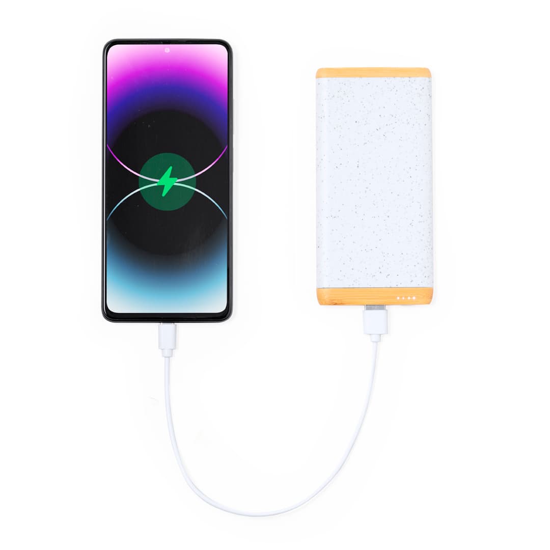 Power Bank Coquin 4