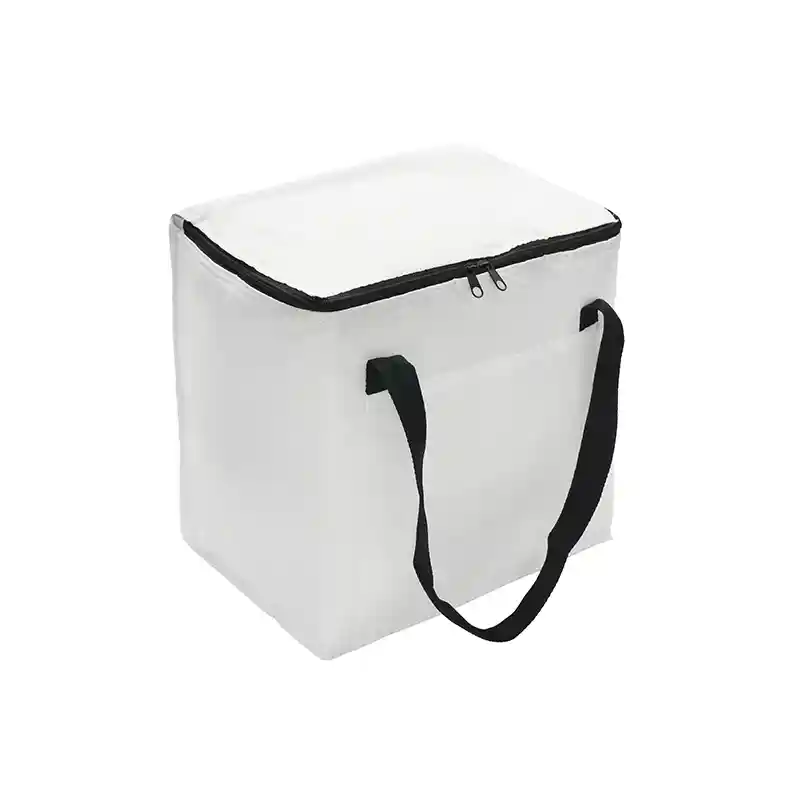 Cooler Artic 5