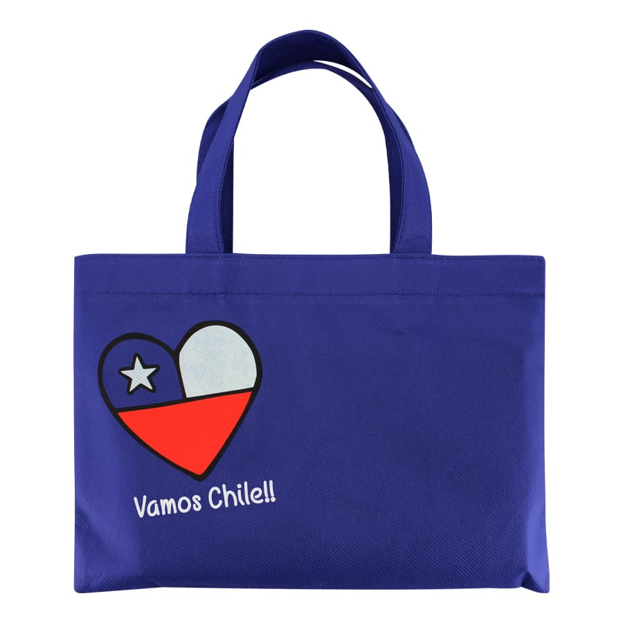 Bolsa TNT Vamos Chile 2