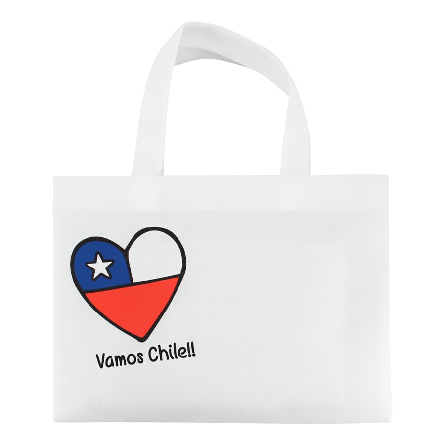 Bolsa TNT Vamos Chile 3