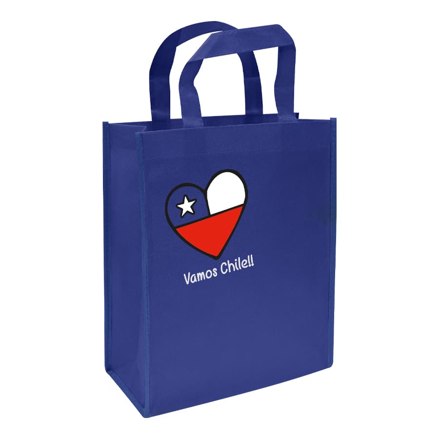 Bolsa TNT Vamos Chile 3