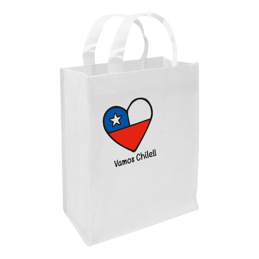 Bolsa TNT Vamos Chile 2