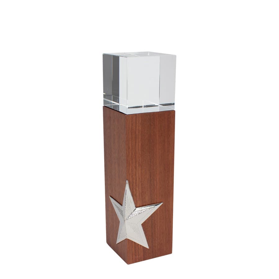 Trofeo «Silver Star»